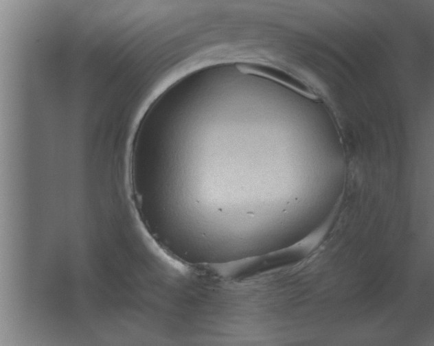 X0000067831528200604201202