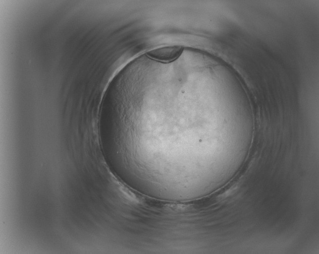 X0000067831529200604201202