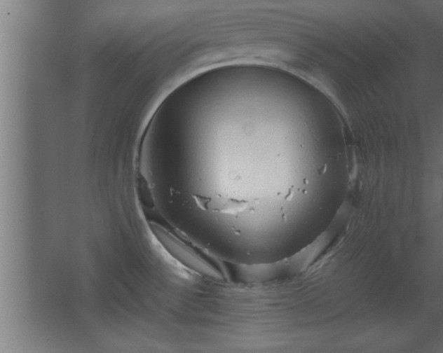 X0000067831532200604201202