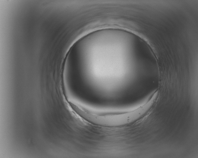 X0000067831534200604201202