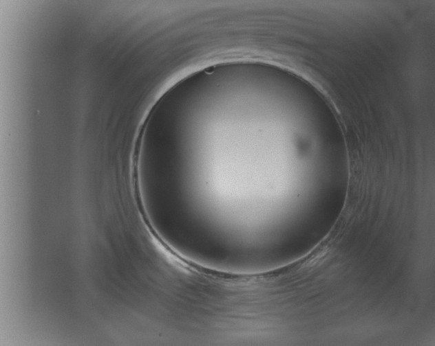 X0000067831535200604201202