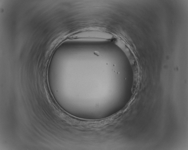 X0000067830001200604271606