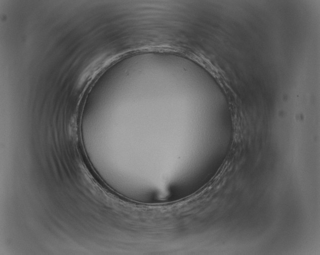 X0000067830002200604271606