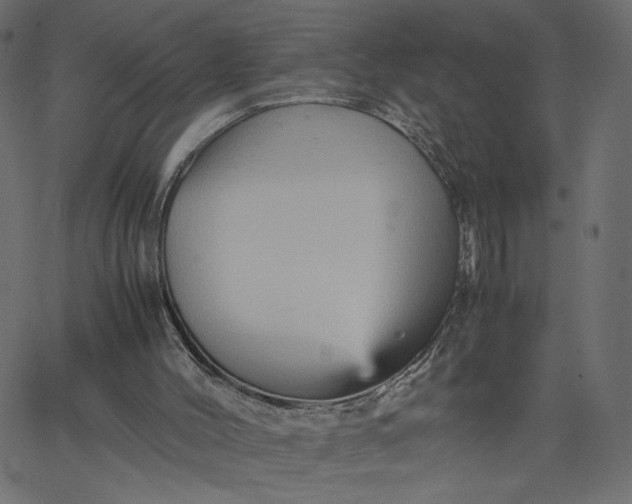 X0000067830004200604271606