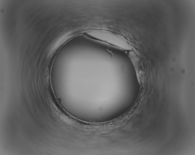 X0000067830005200604271606