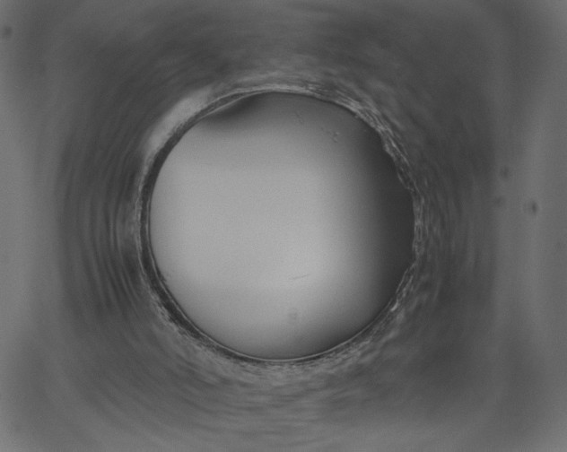 X0000067830006200604271606