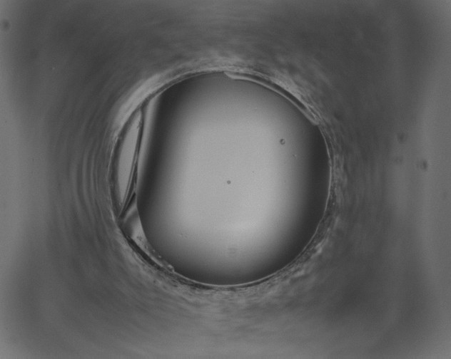 X0000067830007200604271606