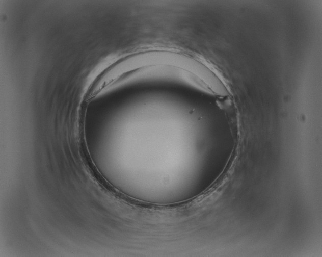 X0000067830008200604271606