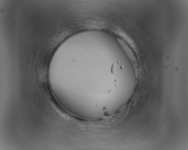 X0000067830009200604271606