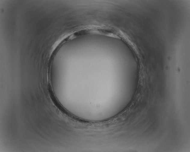 X0000067830011200604271606