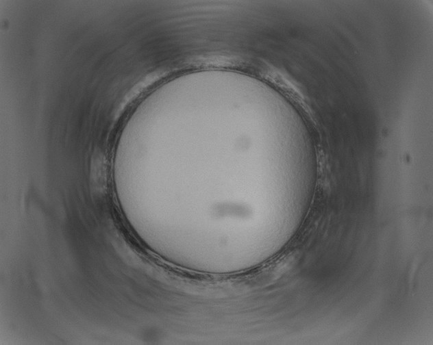 X0000067830012200604271606