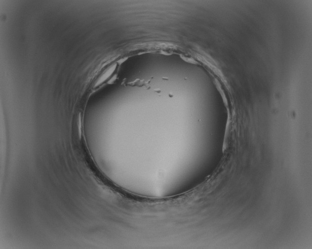 X0000067830013200604271606