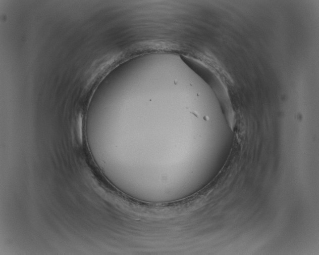 X0000067830014200604271606