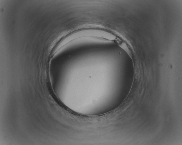 X0000067830015200604271606