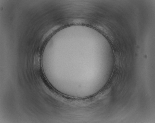 X0000067830016200604271606