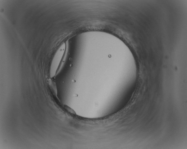 X0000067830017200604271606