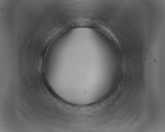 X0000067830018200604271606