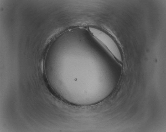 X0000067830019200604271606