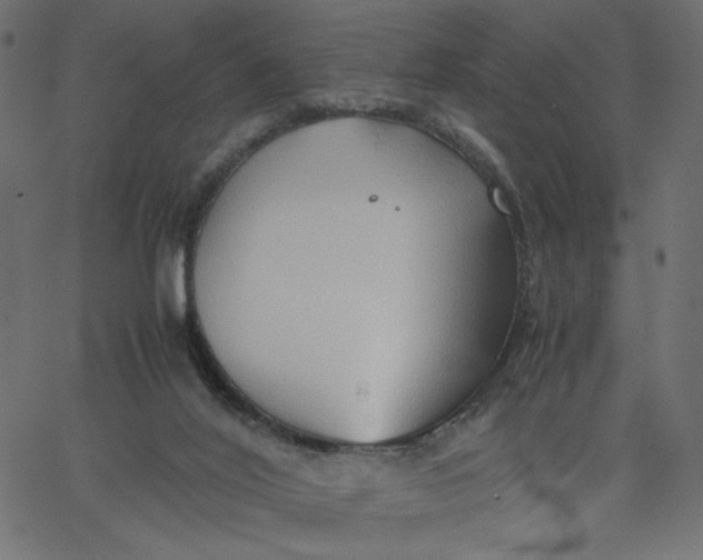 X0000067830020200604271606