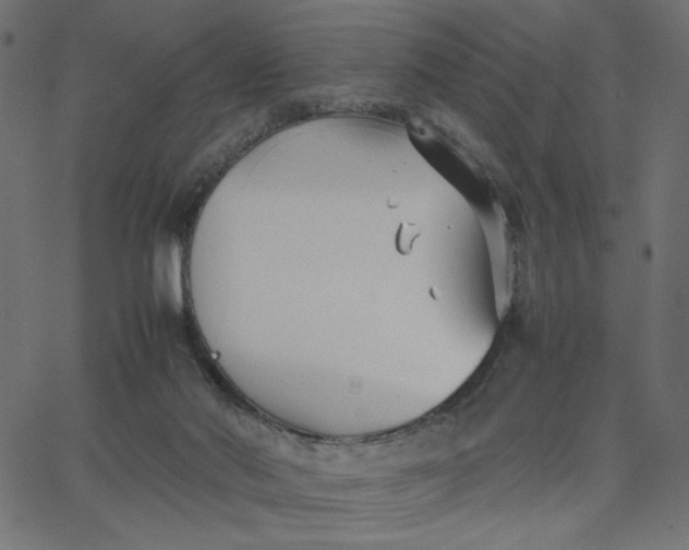 X0000067830022200604271606