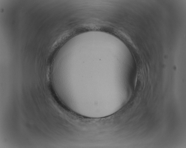 X0000067830023200604271606