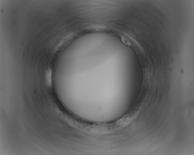 X0000067830024200604271606