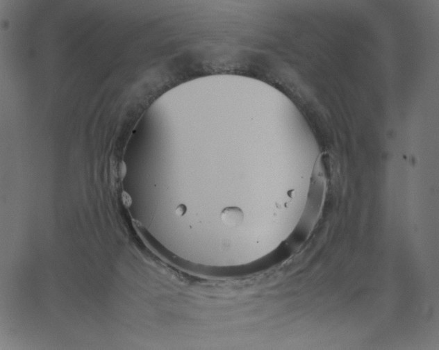 X0000067830025200604271606