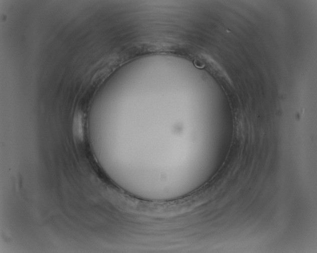 X0000067830026200604271606