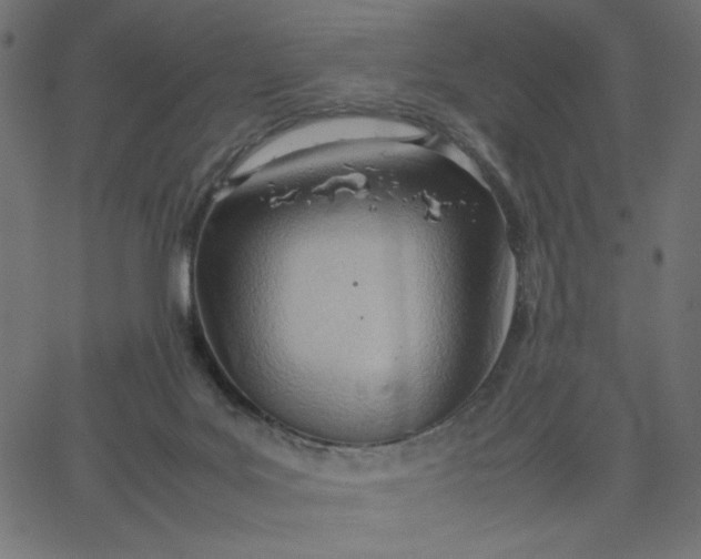 X0000067830027200604271606