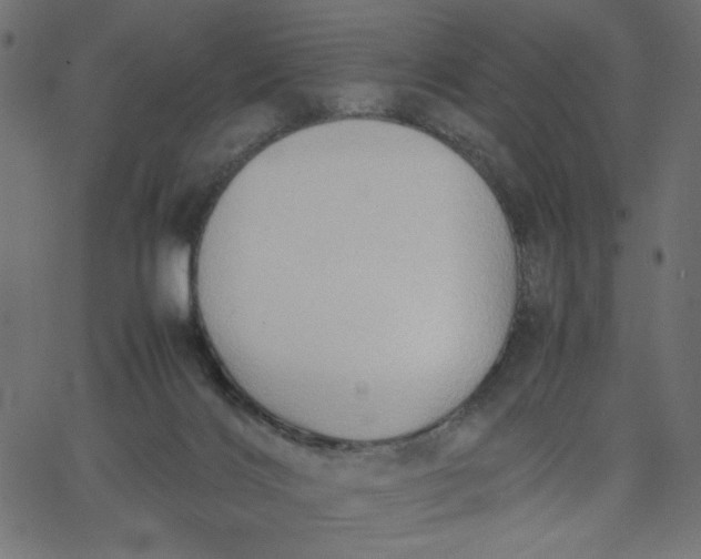 X0000067830028200604271606