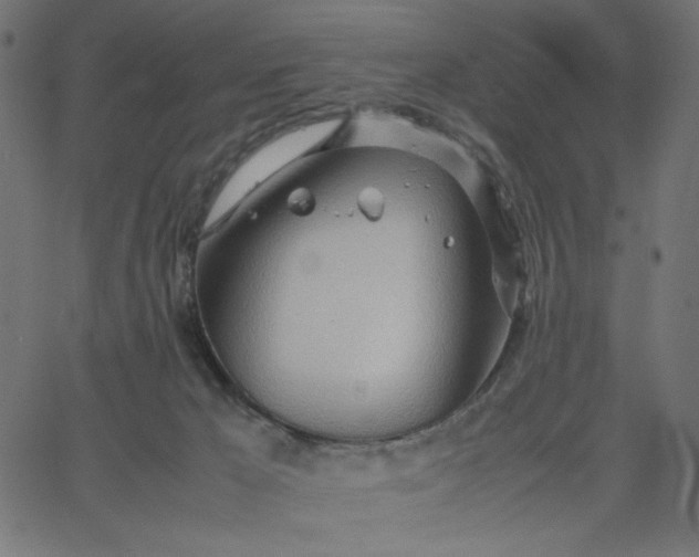 X0000067830029200604271606