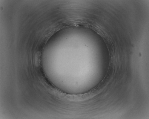 X0000067830030200604271606