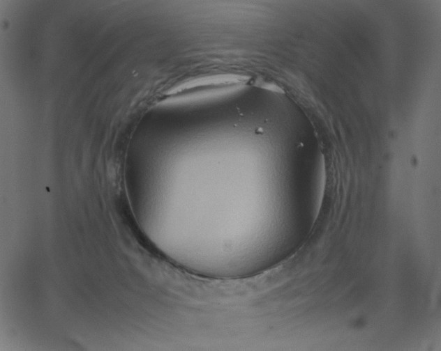 X0000067830031200604271606