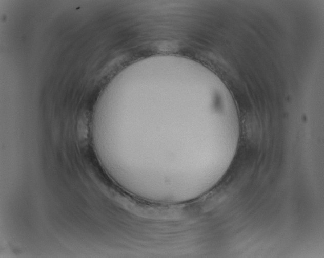 X0000067830032200604271606