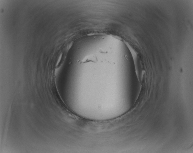 X0000067830033200604271605