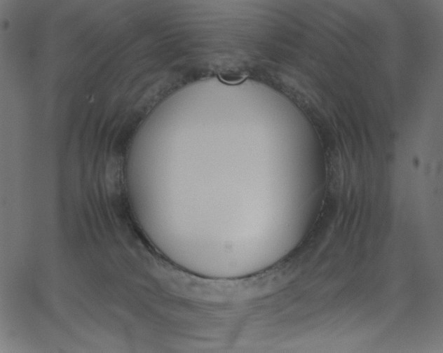 X0000067830034200604271605