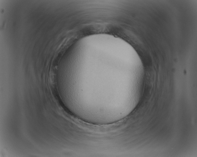 X0000067830035200604271605