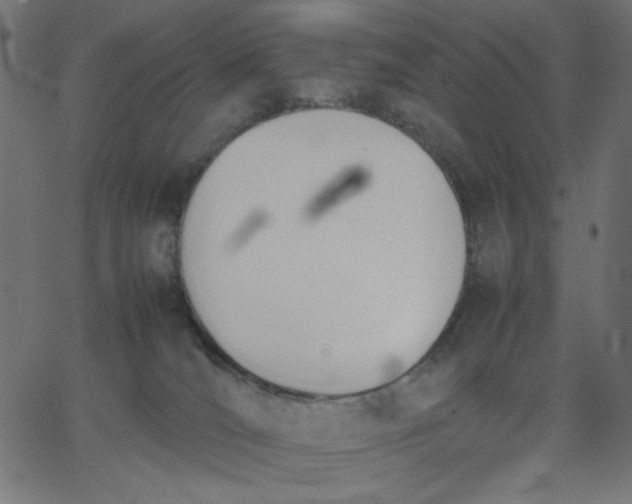 X0000067830036200604271605