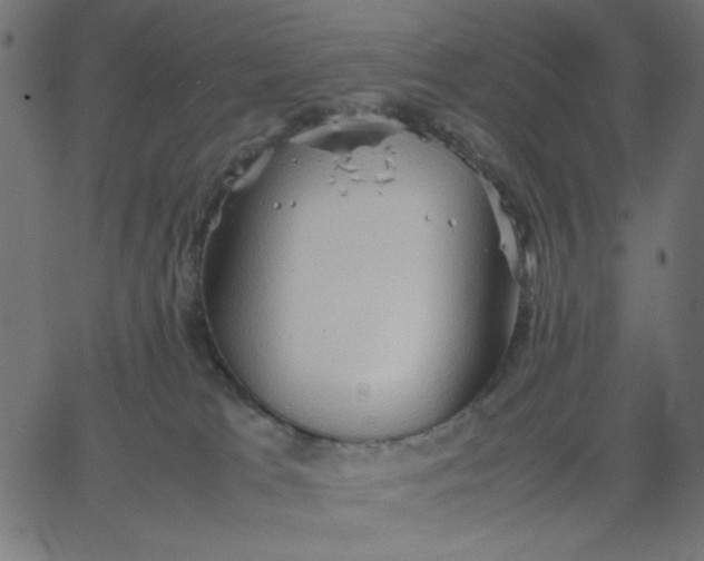 X0000067830037200604271605