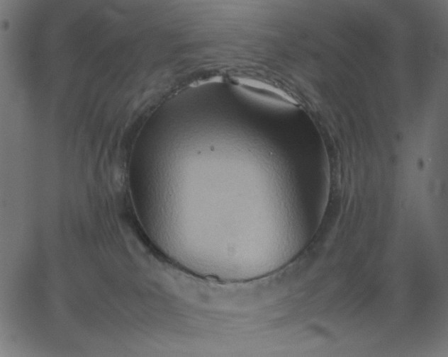 X0000067830039200604271605