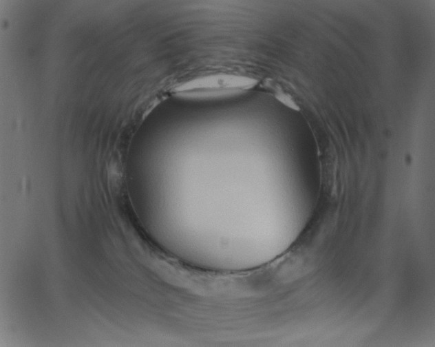 X0000067830040200604271605