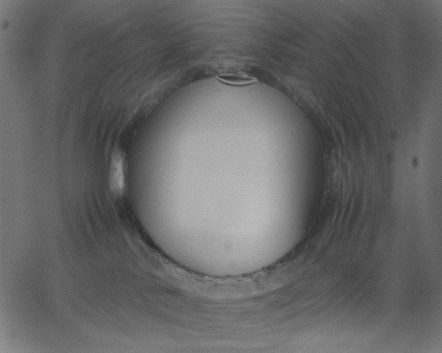 X0000067830042200604271605