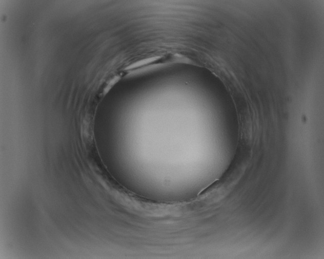 X0000067830044200604271605