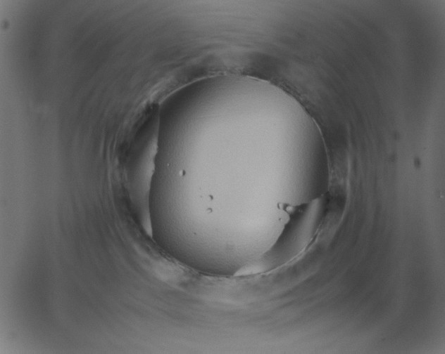 X0000067830045200604271605