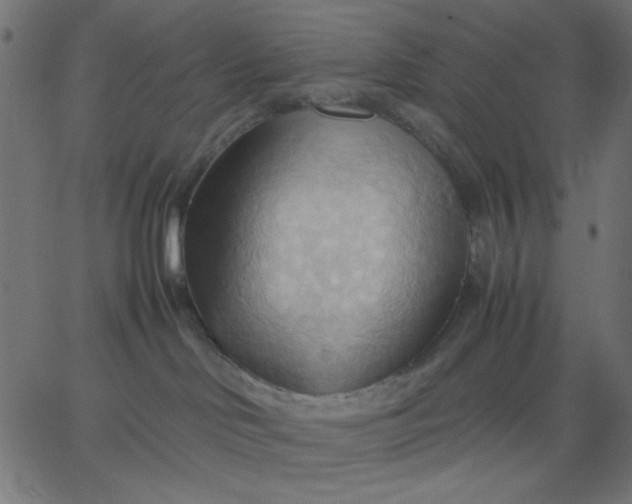 X0000067830046200604271605