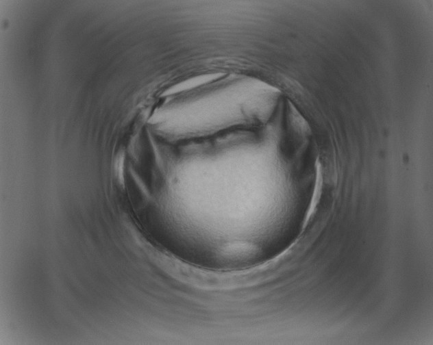 X0000067830047200604271605