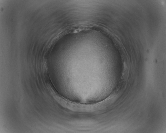 X0000067830048200604271605