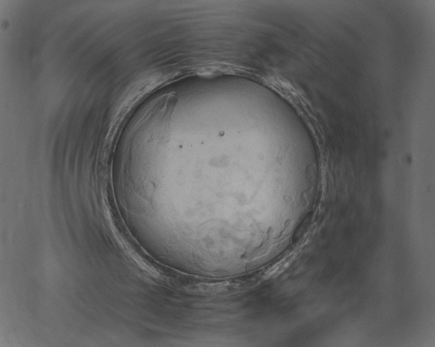 X0000067830049200604271604