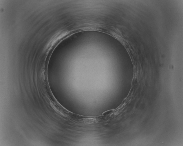 X0000067830050200604271604