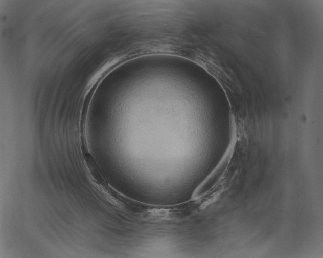 X0000067830052200604271605